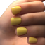 BAFI Gel Polish 033, 10 ml