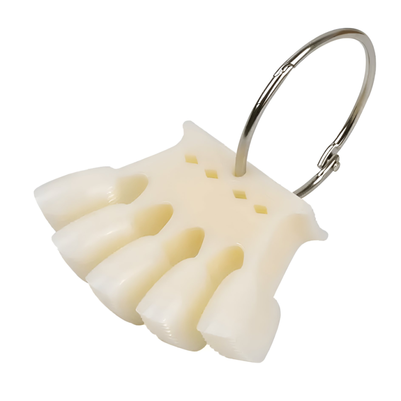 BAFI Puntas de laca en gel "Corona", natural