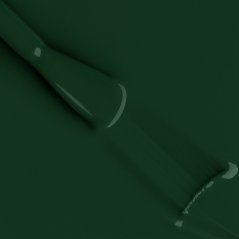 BAFI Gel Polish 060, 10 ml