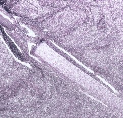 COSMONAIL gel lak Flashing Disco 41 - Levander Sparkle, 8 ml