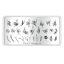 BORN PRETTY Flower Tango L010 Plantillas para uñas