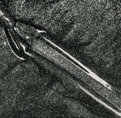 COSMONAIL gel lak Flashing Disco 21 - Anthracite, 8 ml