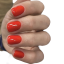 BAFI Gel Polish 014, 10 ml