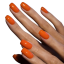 BAFI Gel Polish 016, 10 ml