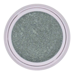 NICOLE DIARY - пигмент для ногтей Cat magnetic 2